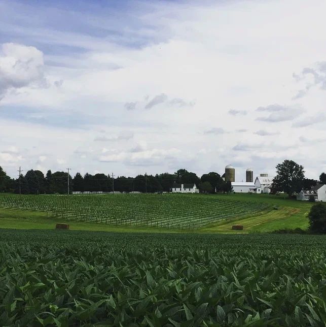 Photo Credit: 1723 Vineyards