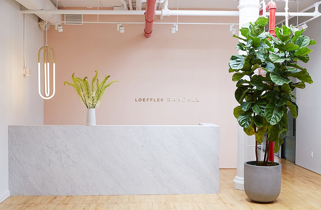 The large entryway at the Loeffler Randall office doubles as a yoga studio for the team on Tuesday nights.