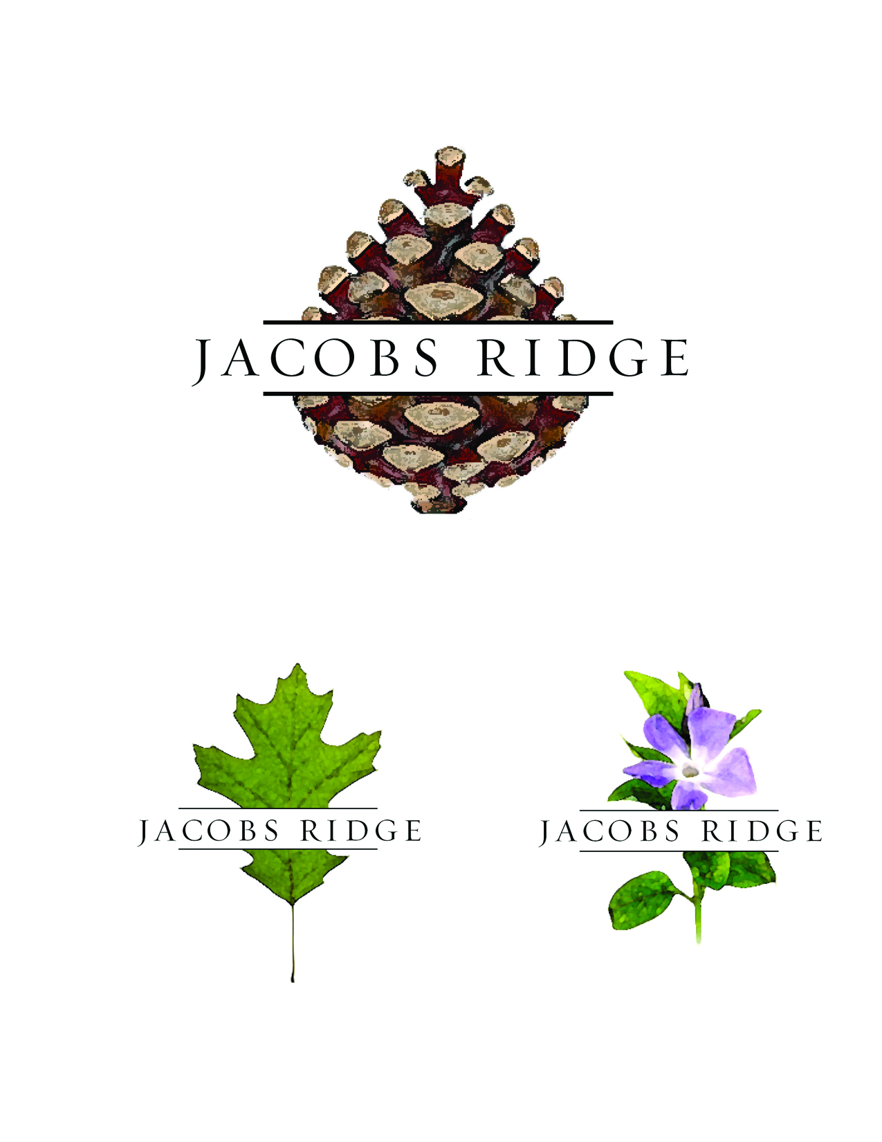 Jacobs Ridge 4.jpg