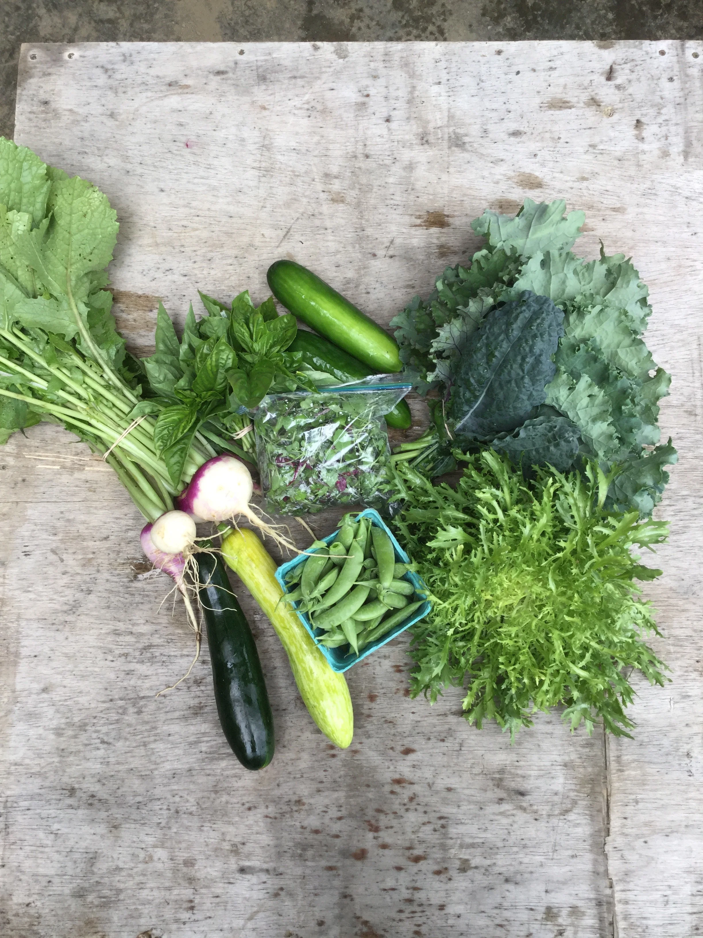Week 5 CSA share!