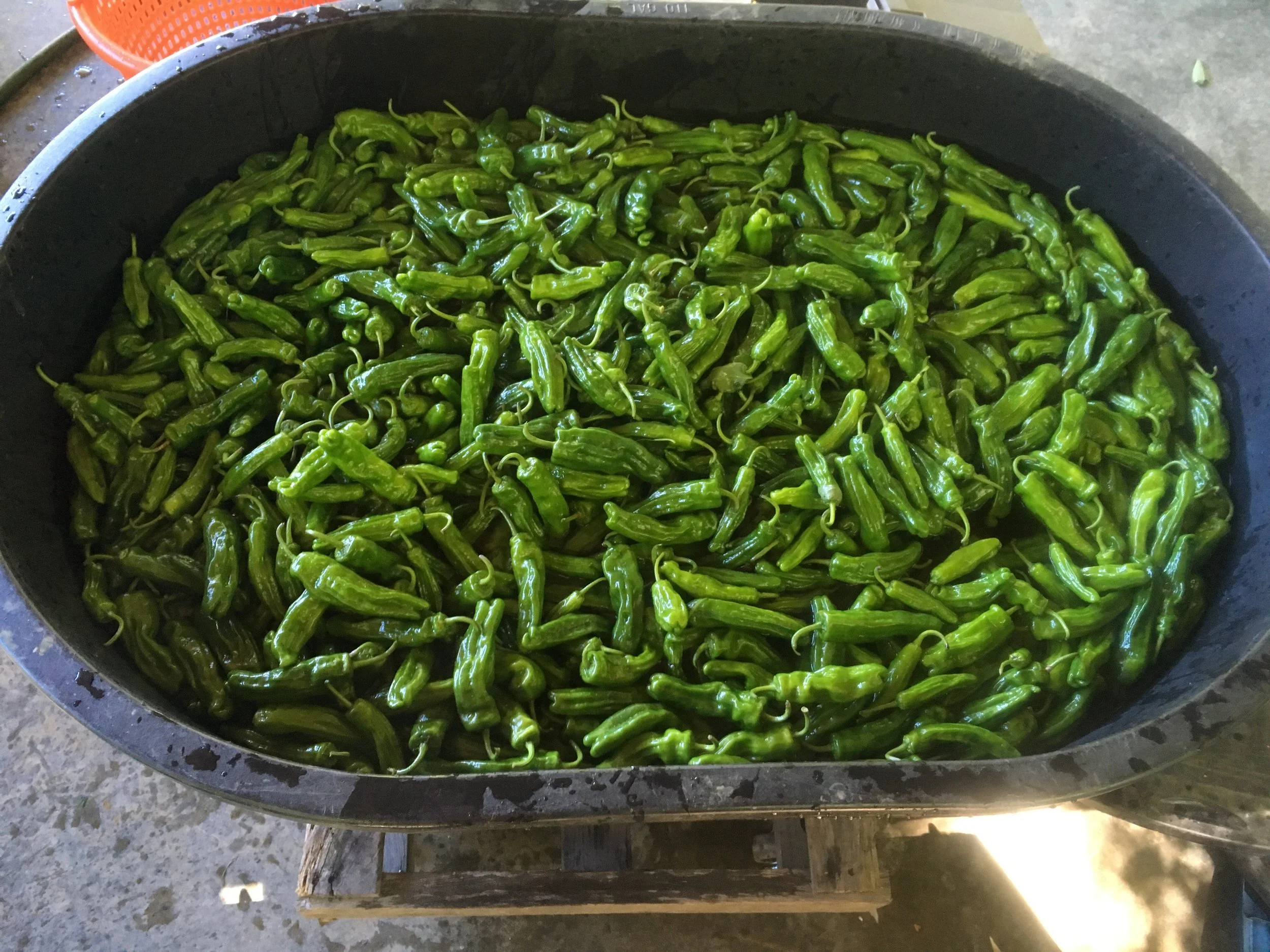 Shishitos going to you guys, Hen of the Wood, and Village Market