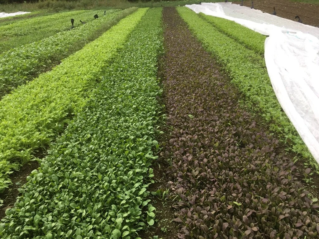 Naked Acre Farm is Hiring Farm Crew for the 2020 Season!