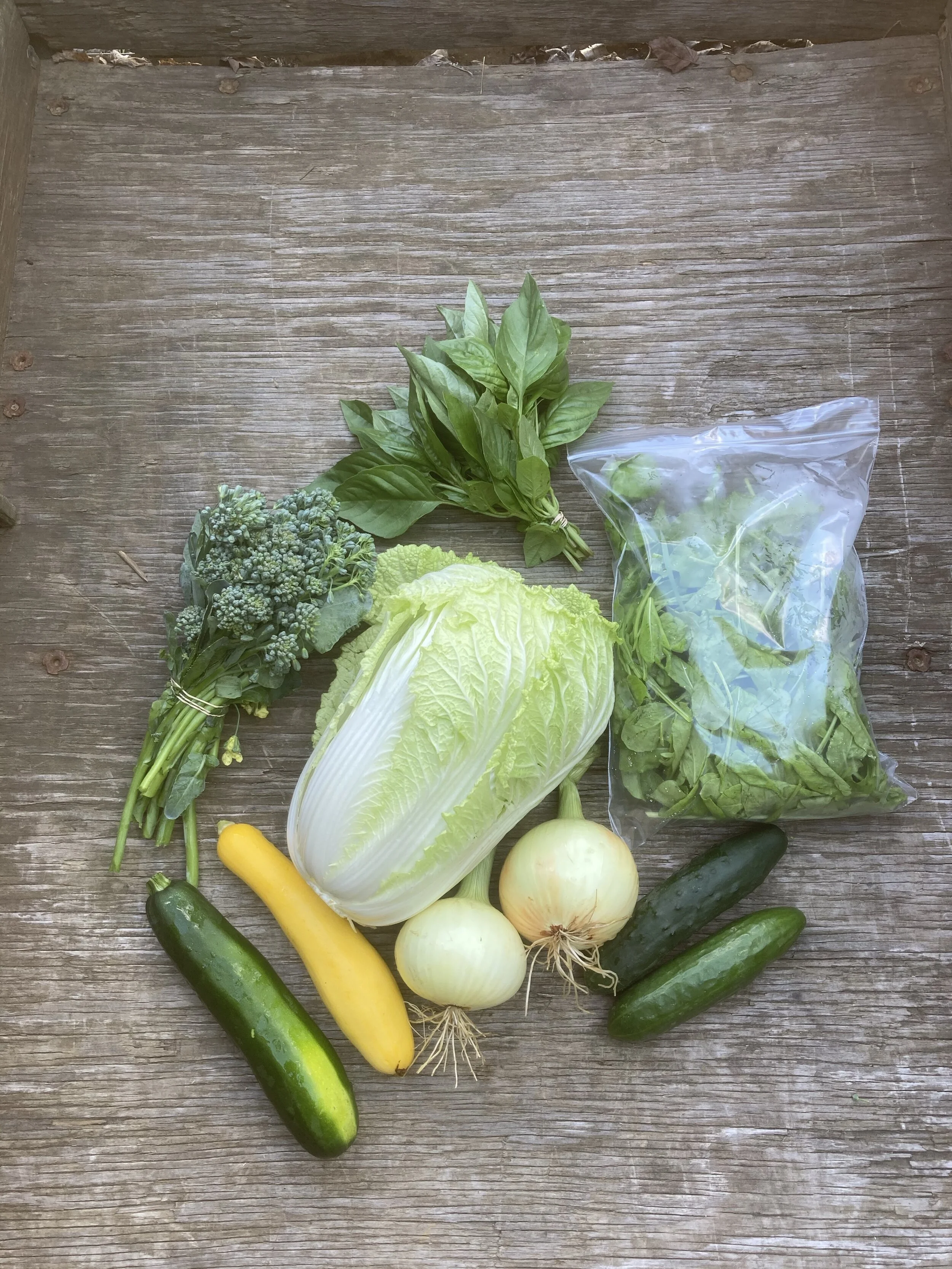 Week 4 CSA Share!!