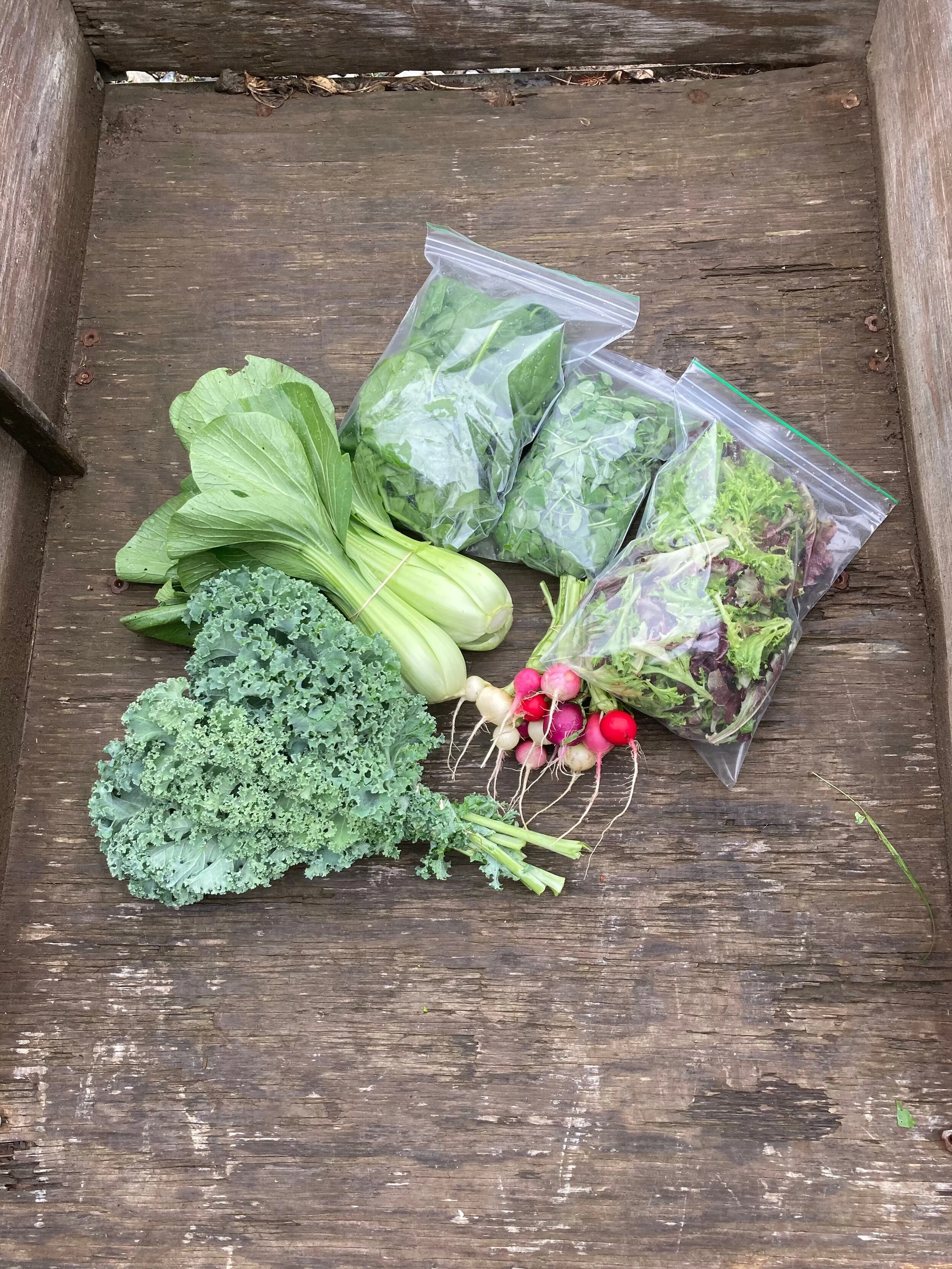 Week 1 2021 CSA!