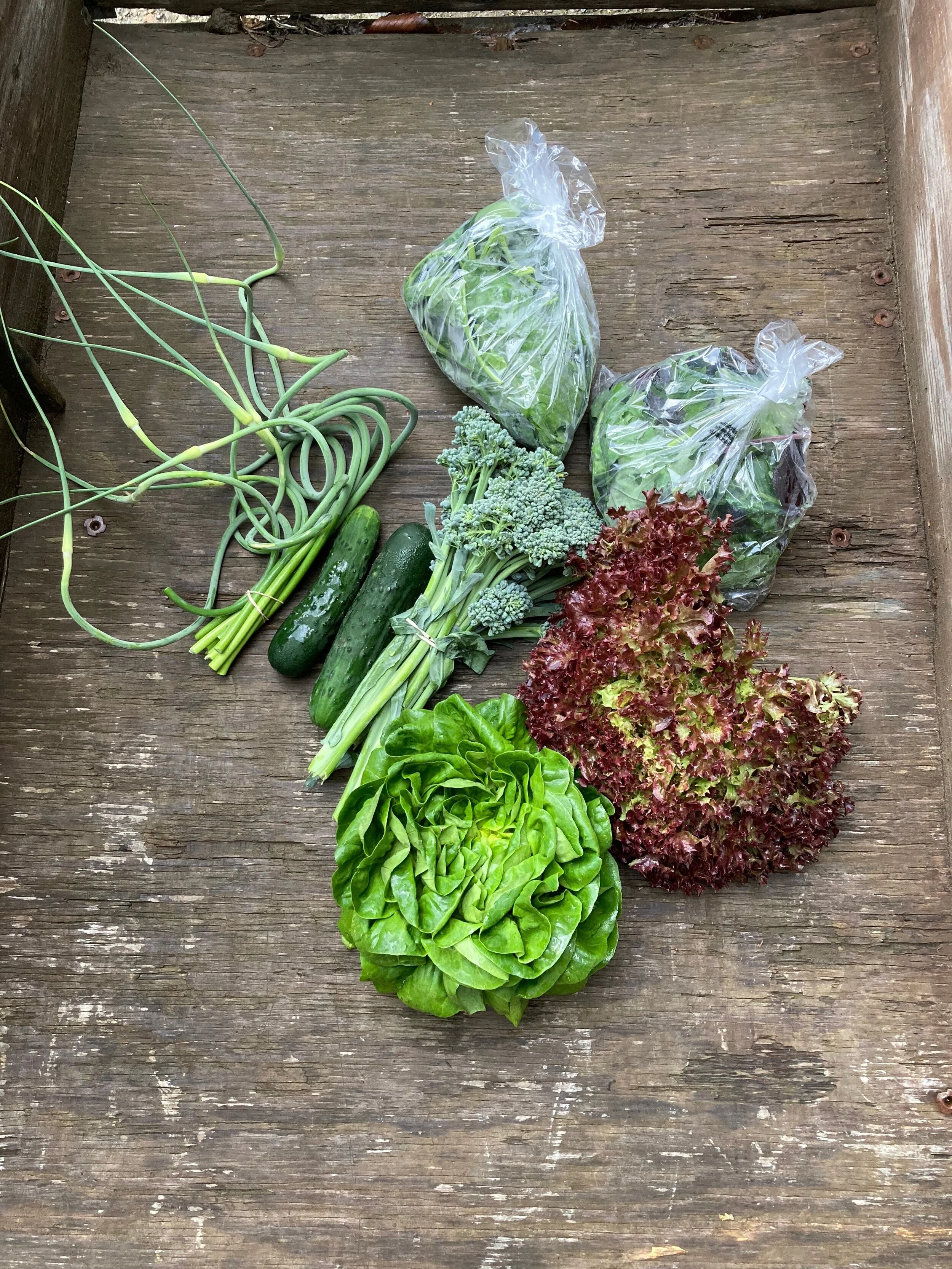 Week 2 CSA!