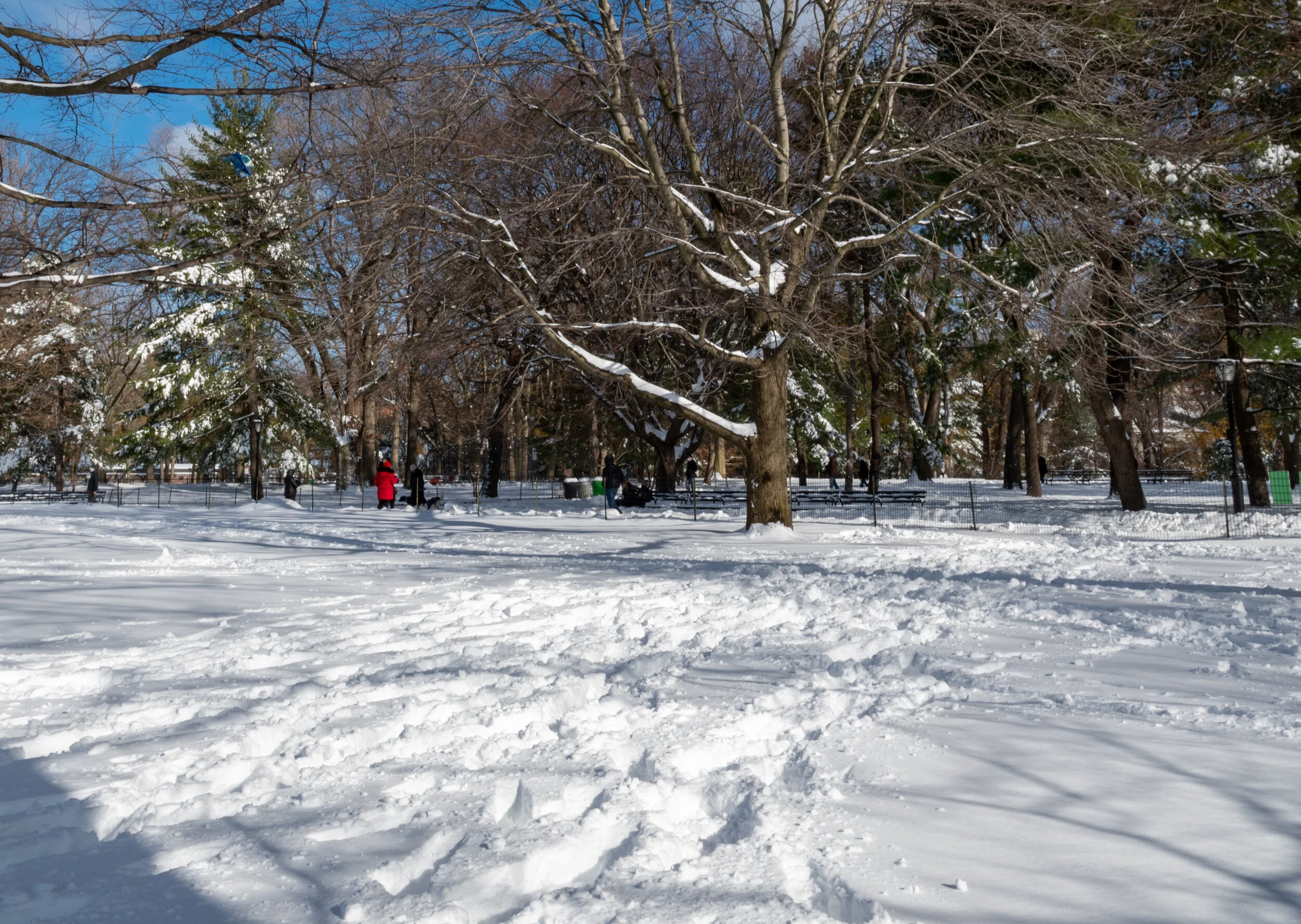 Snowstorm 2020-1-10.jpg