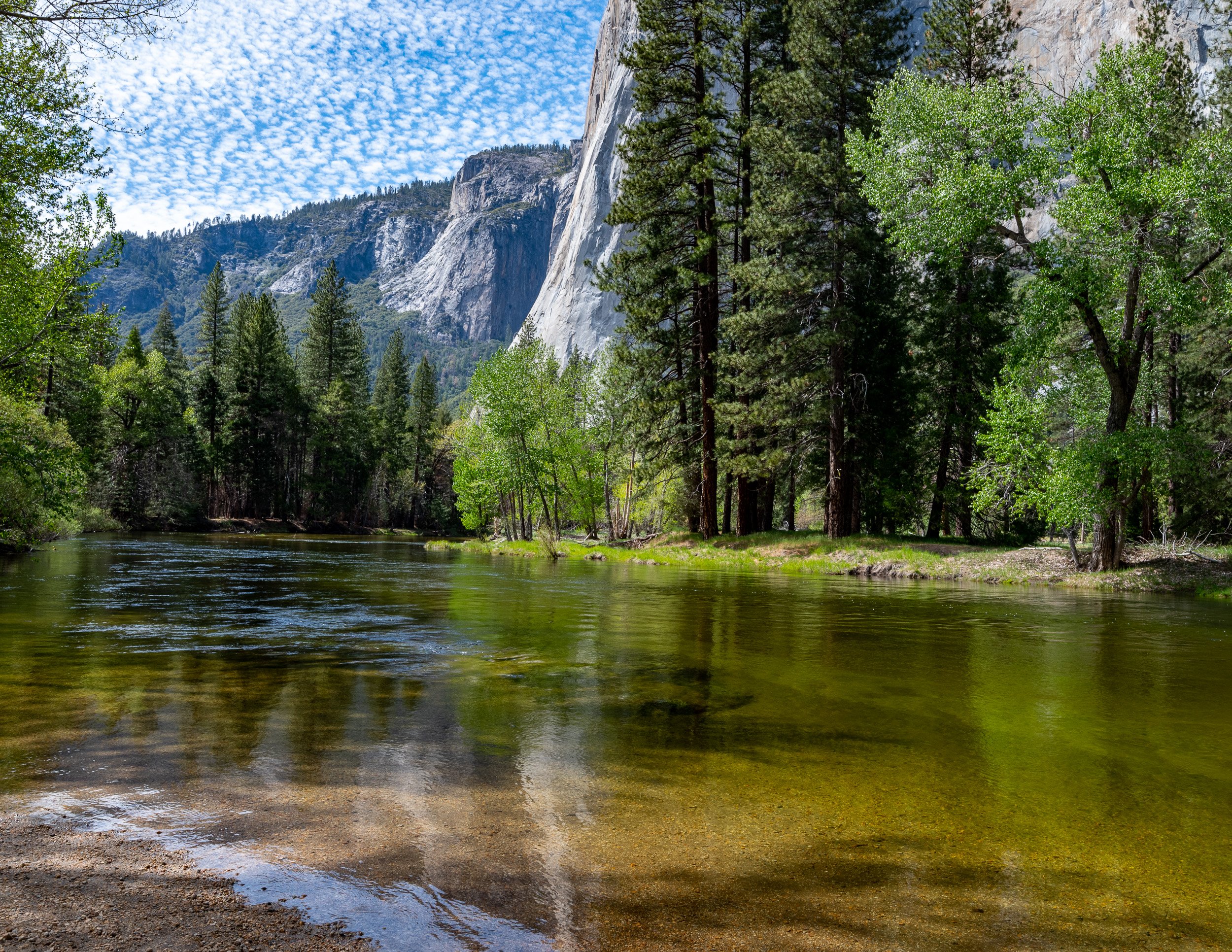 YOSEMITE, CALIFORNIA