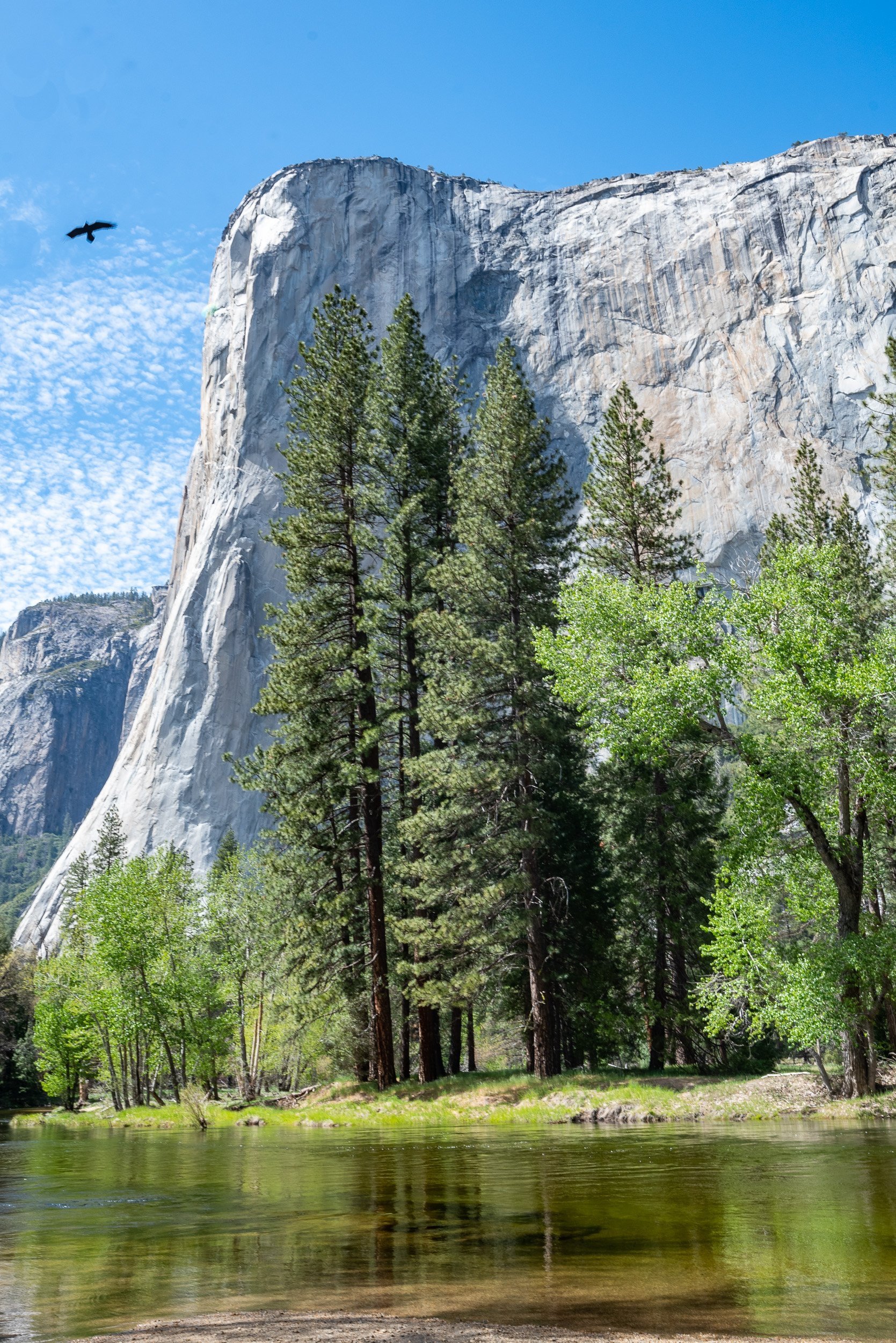 YOSEMITE, CALIFORNIA