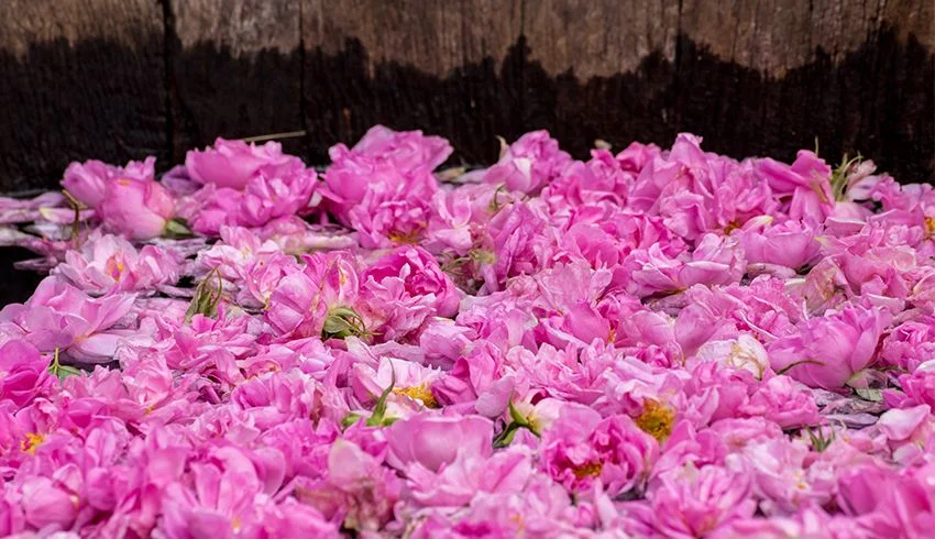 Lavender Rosewater Facial Toner