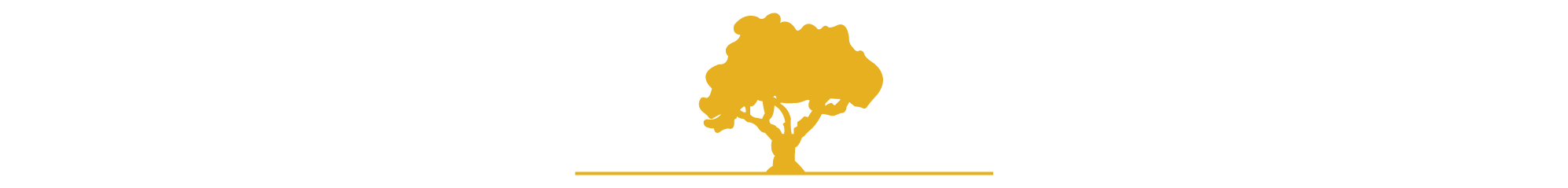 Tree-01.png