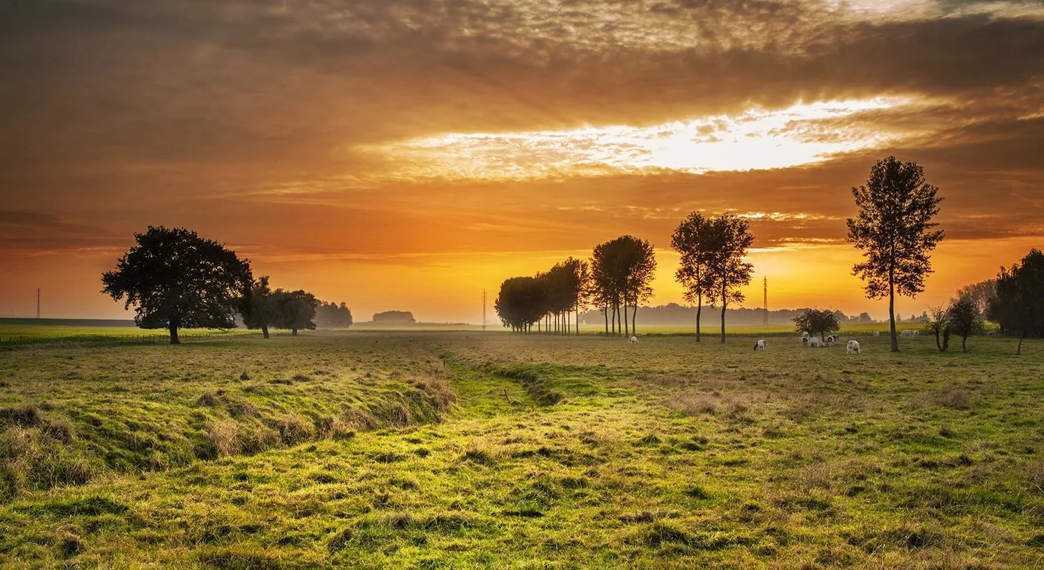 landscape-nature-sunset-clouds_1500.jpg