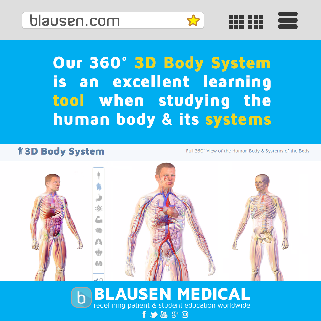 _Service_360-Body-System.png