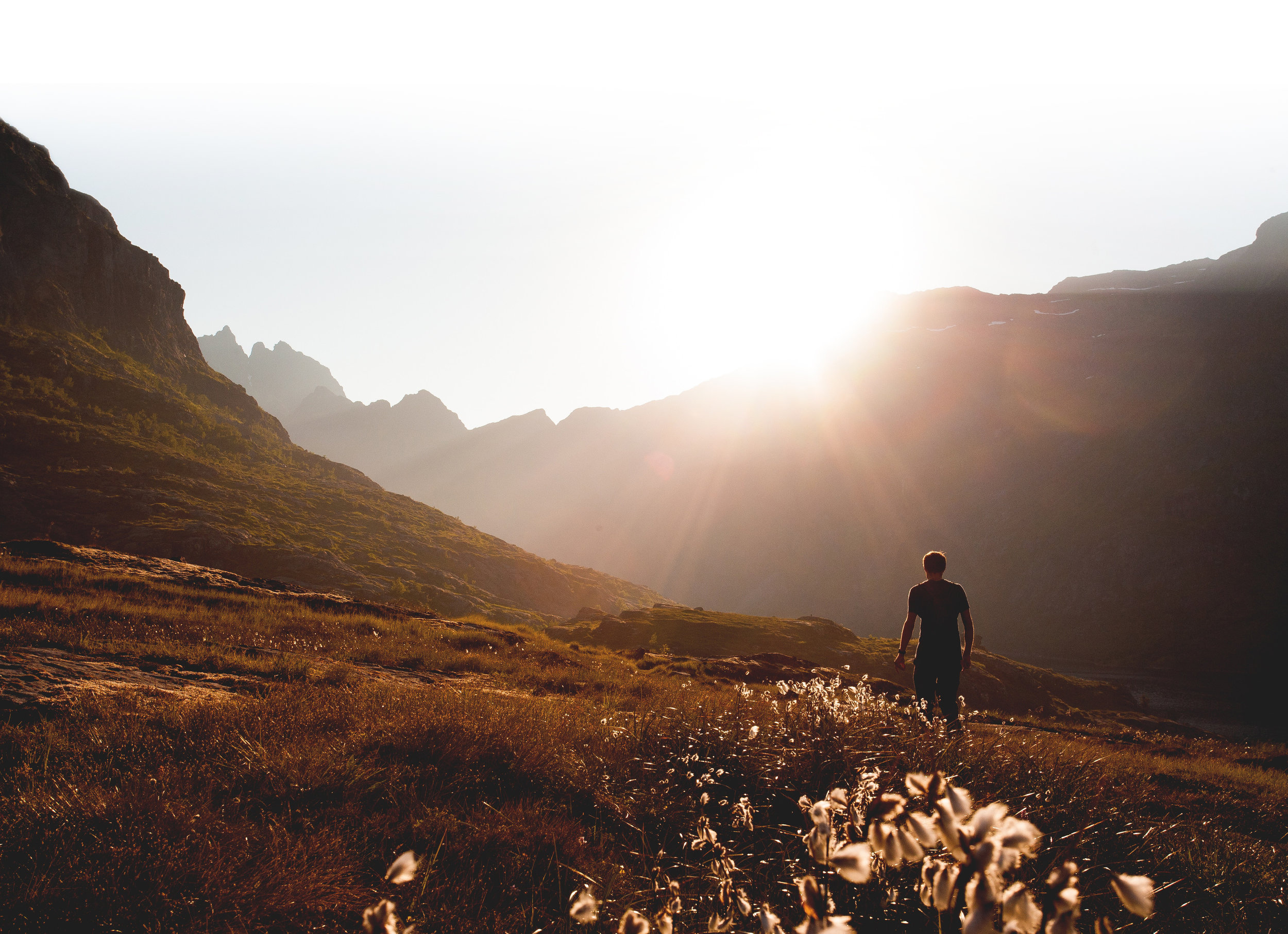 dennis-ottink-9071-unsplash_a.jpg