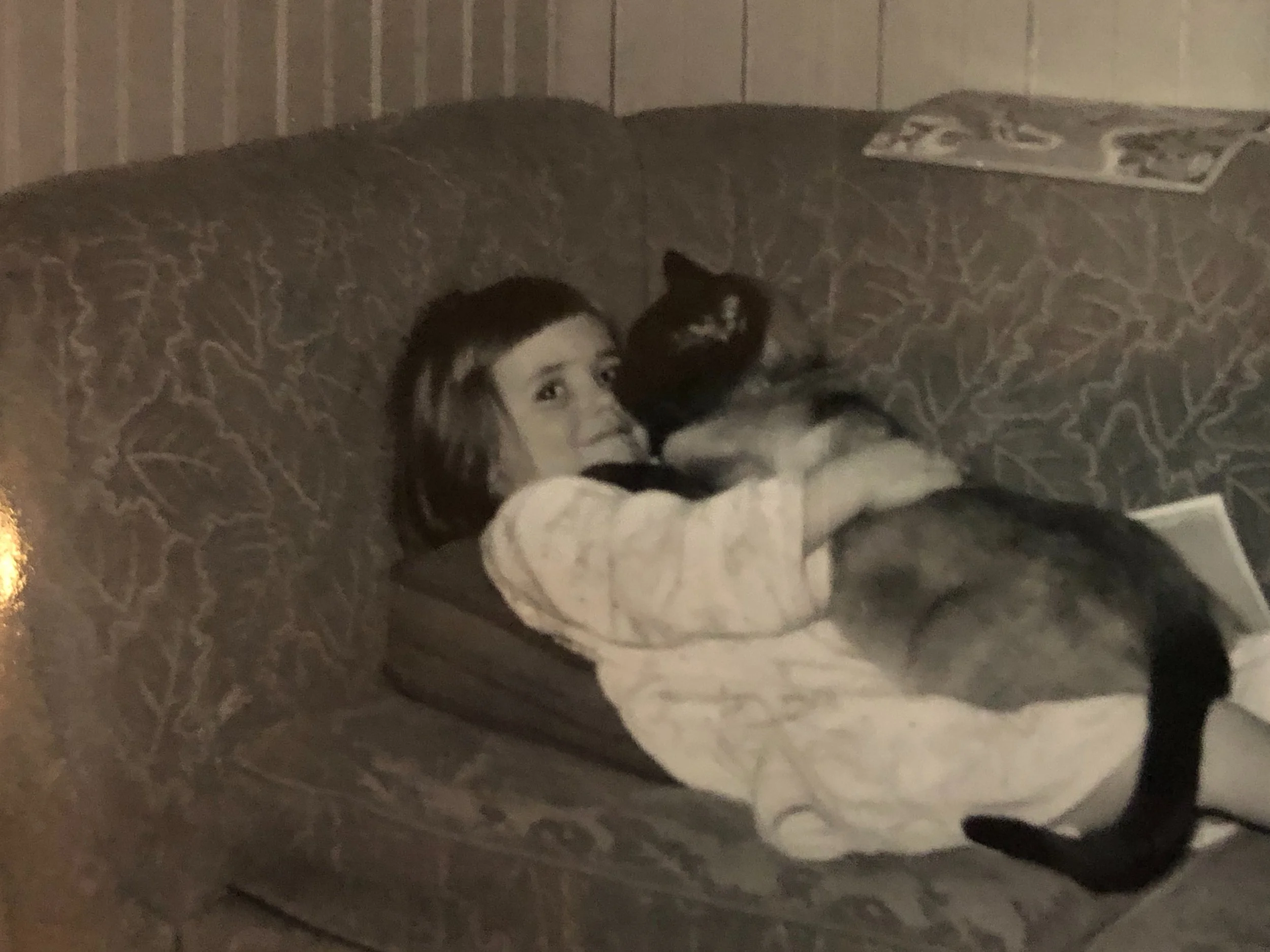 That cat was almost as big as me