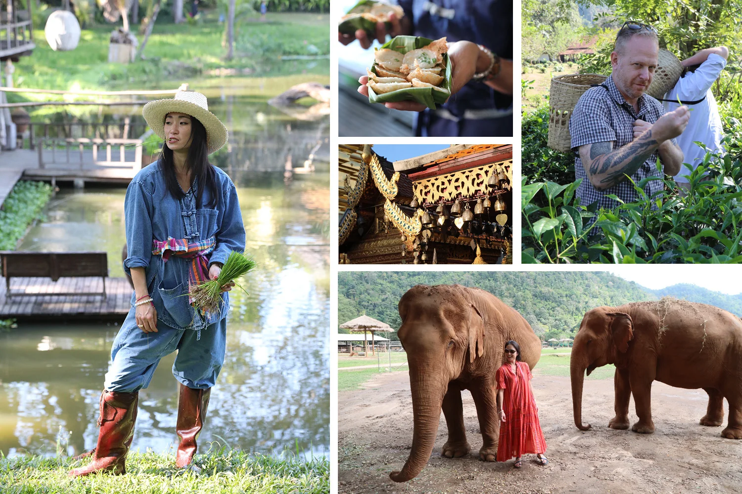 chiang_mai_2.jpg