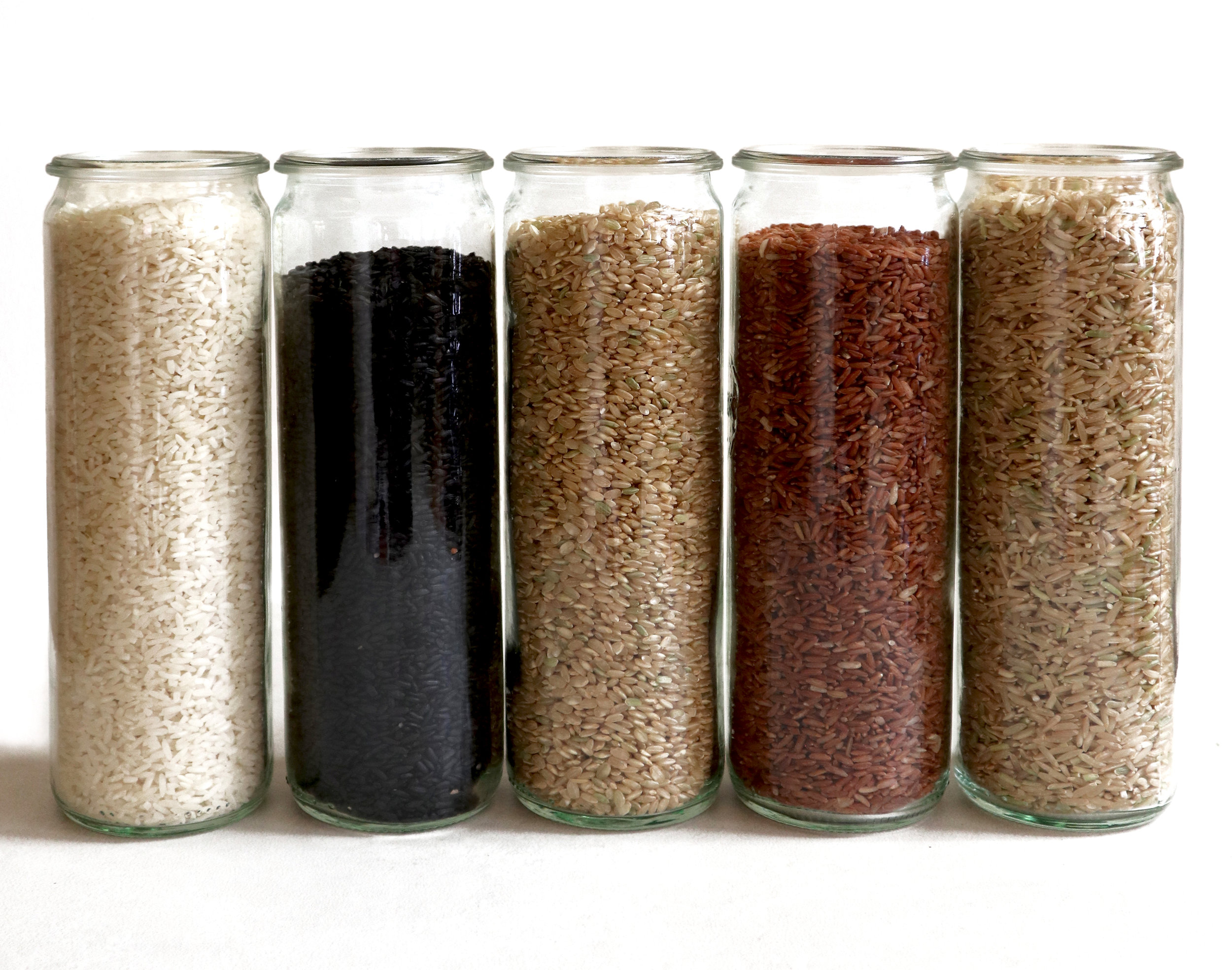 Rice varieties for this initiative hail from Italy (Purple Jamon Upland Rice), Japan (Yukikihari Lowland Rice), Madagascar (Mamoriaka Upland Rice), Uzbekistan (Amaura Upland Rice), and America with origins in Africa and Indonesia (Carolina Gold Rice).