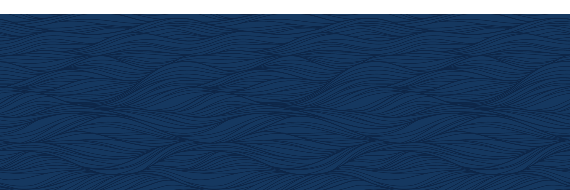 navy-banner-pattern.png