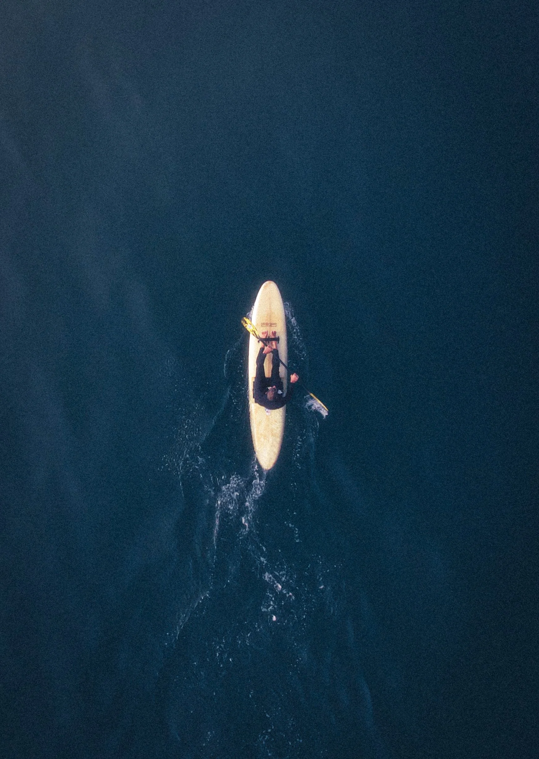 DJI_0123 2.JPG