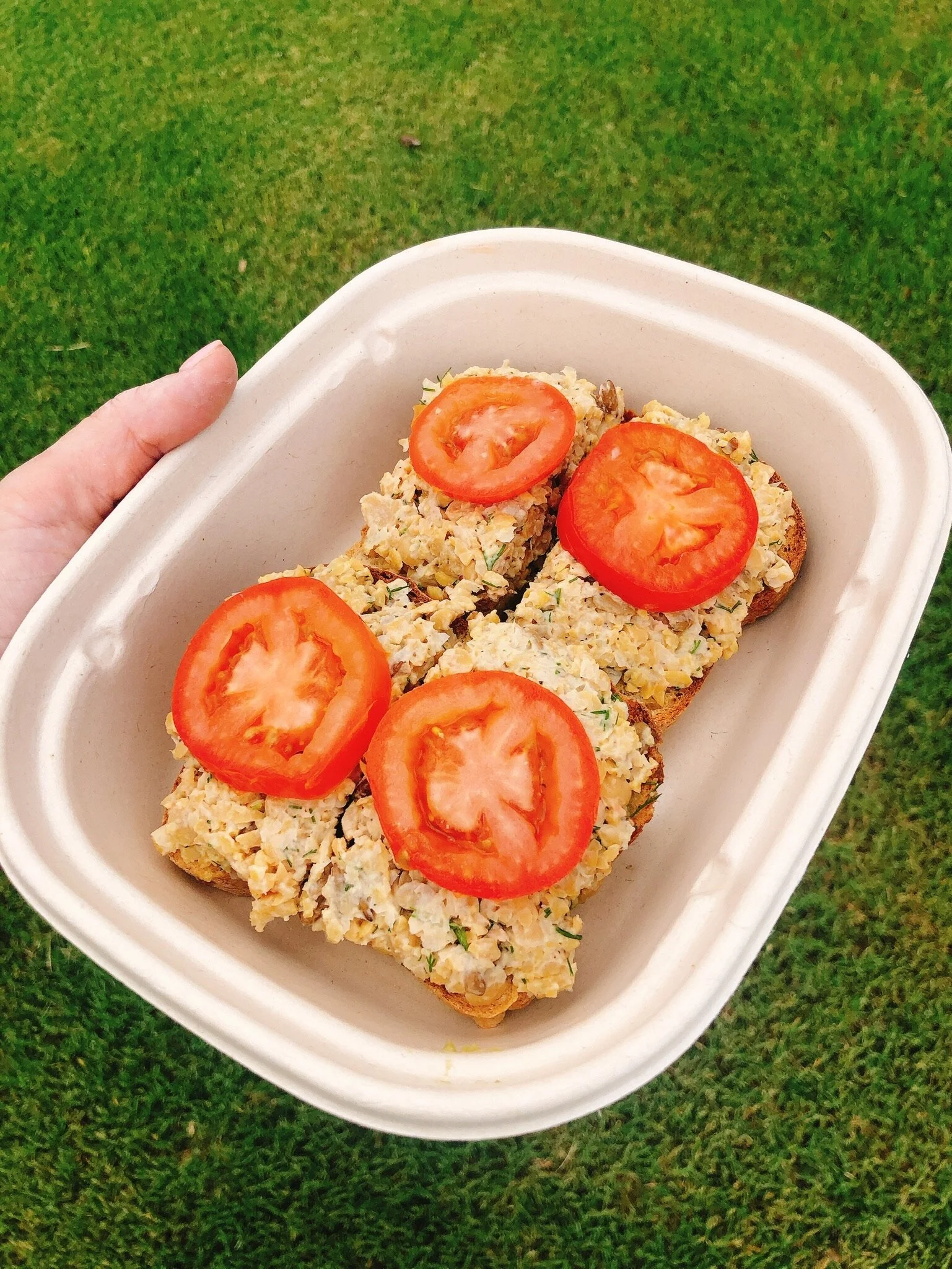 Traditional Hippea Chickpea Sammie