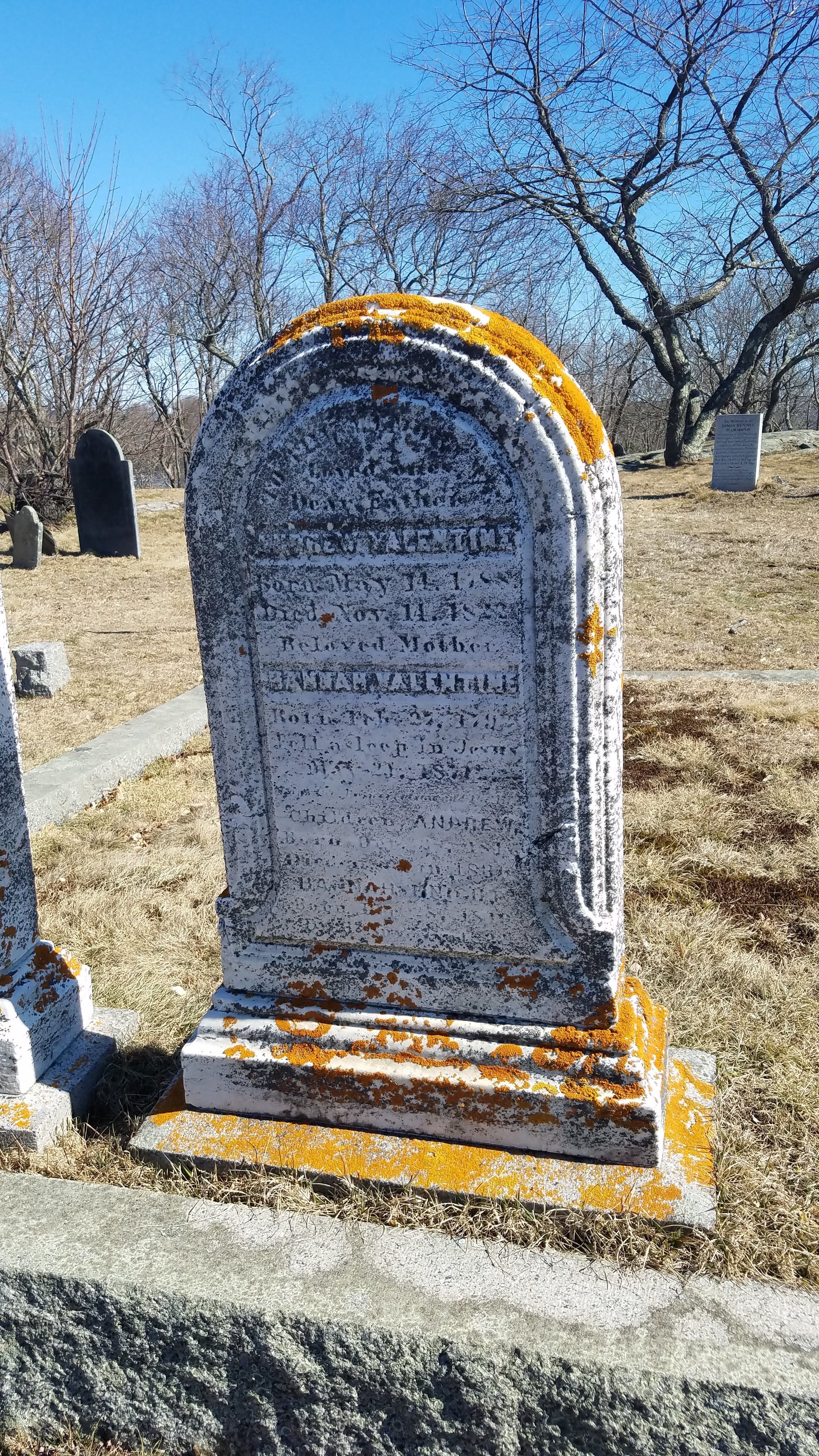 20190326_104627.jpg
