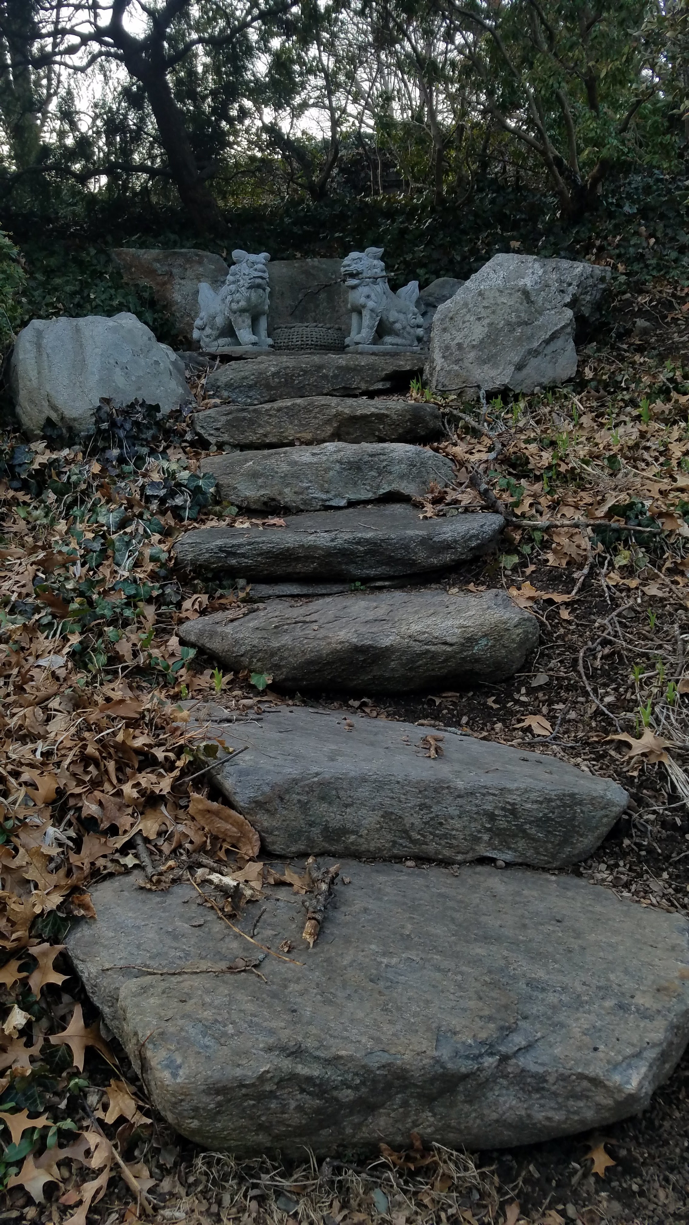 20190325_173833.jpg