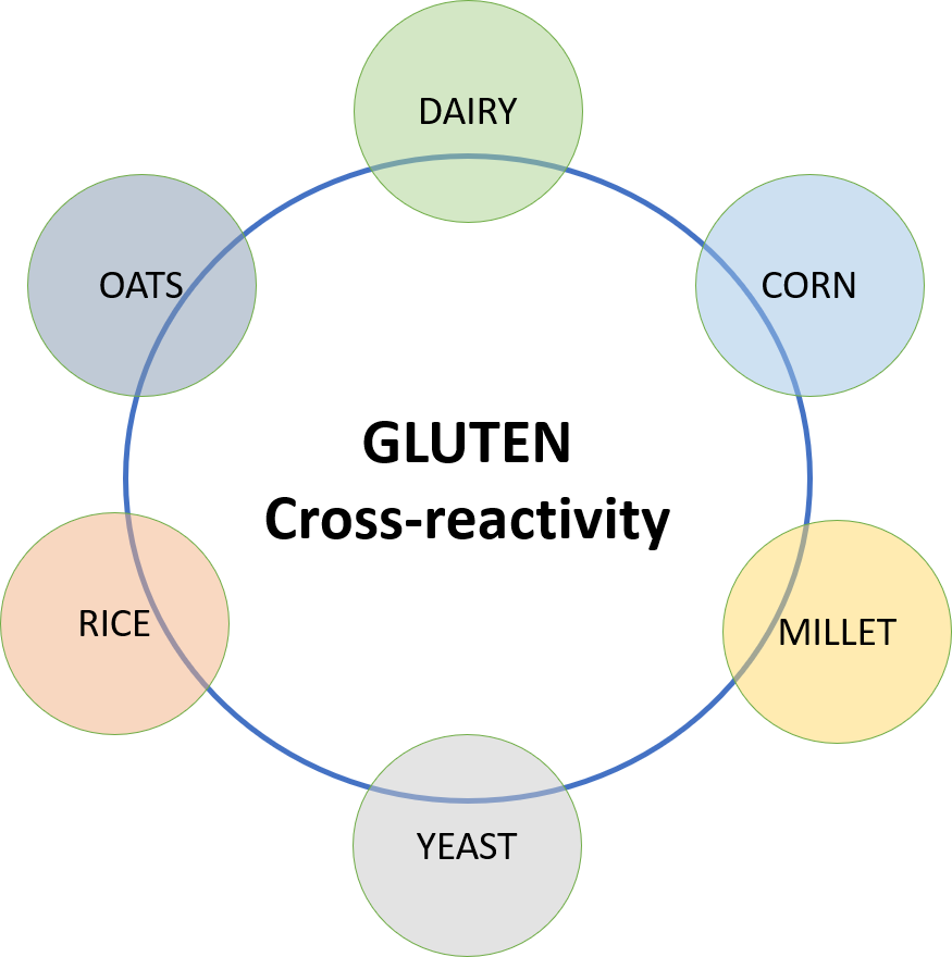 CROSS REACTIVITY GLUTEN.png