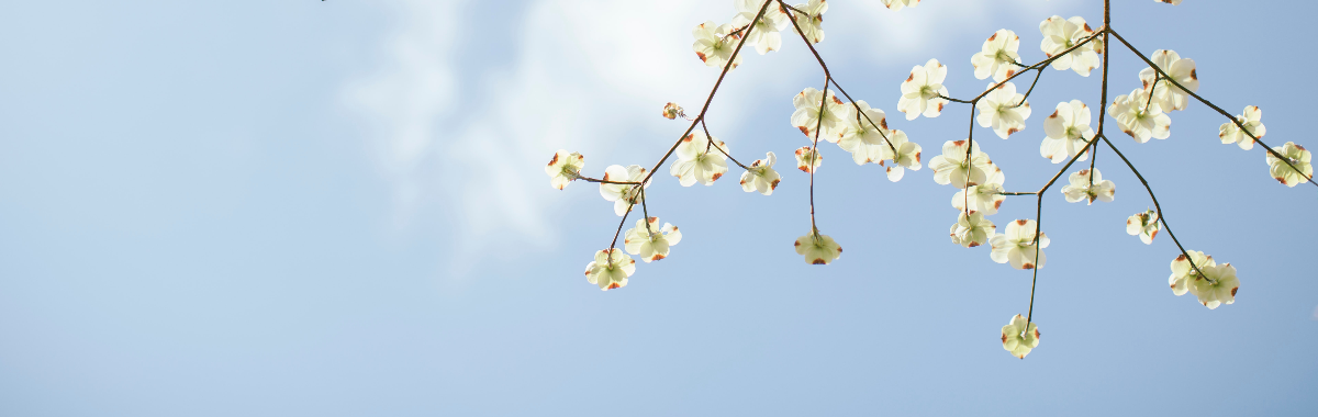 April 2021 newsletter
