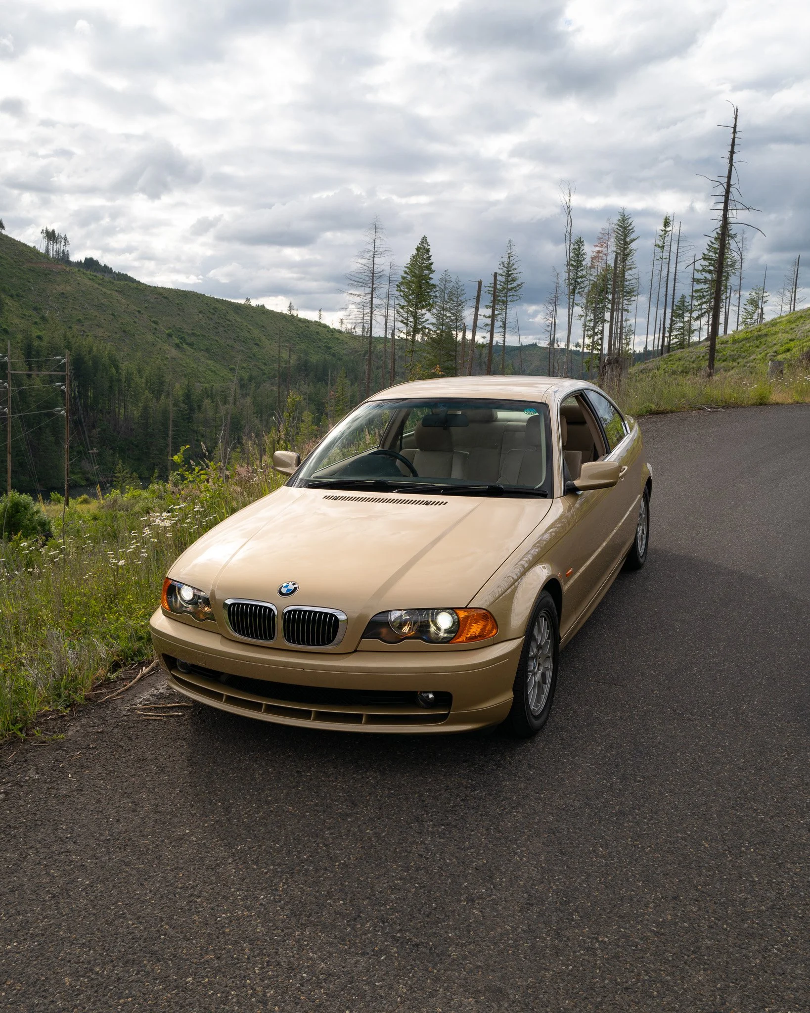 L1021330.jpg