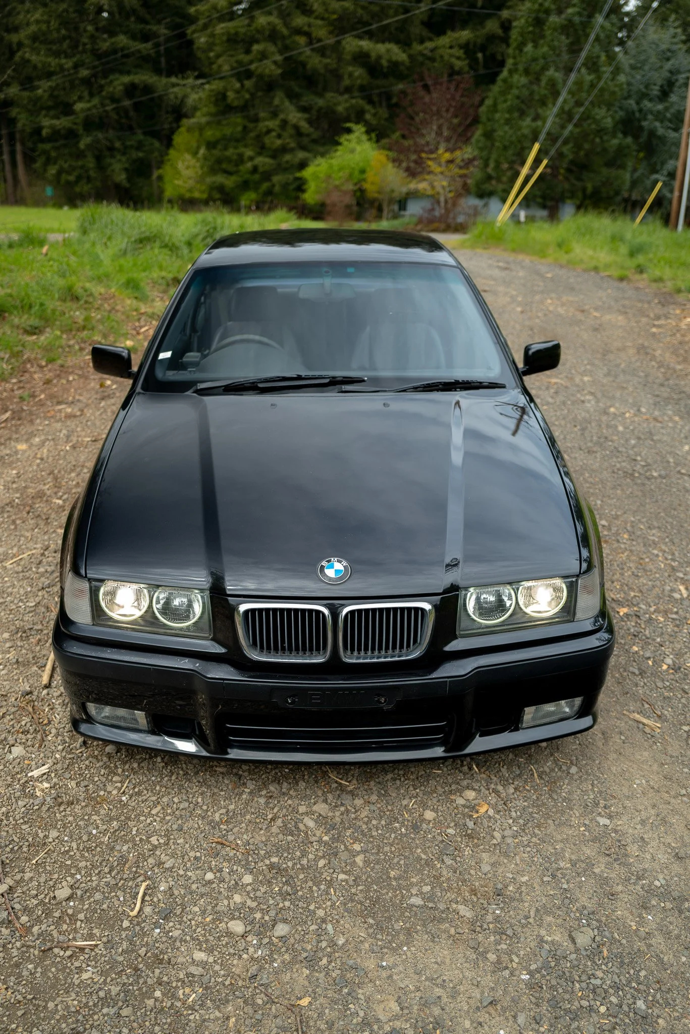 L1020340.jpg