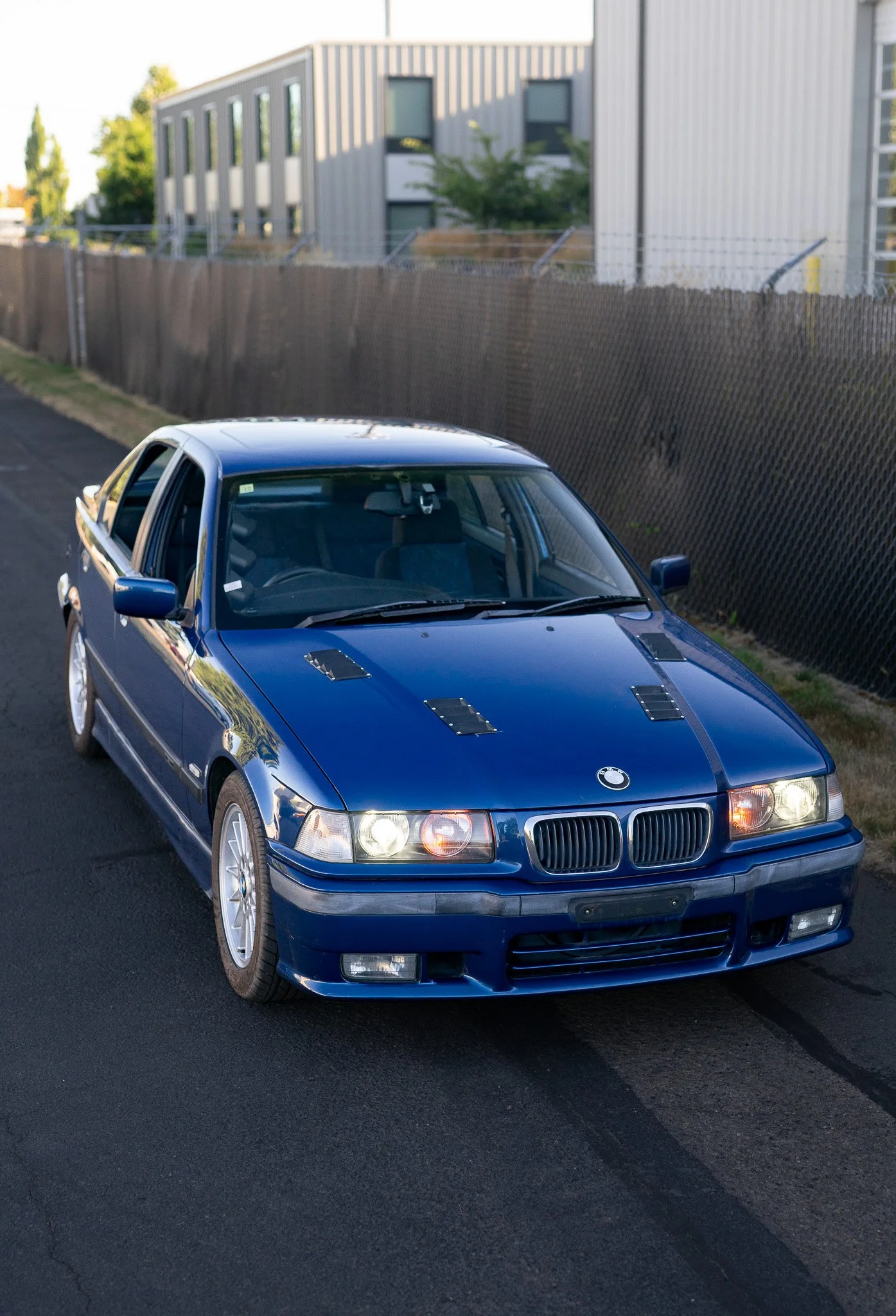 DSC06354.jpg