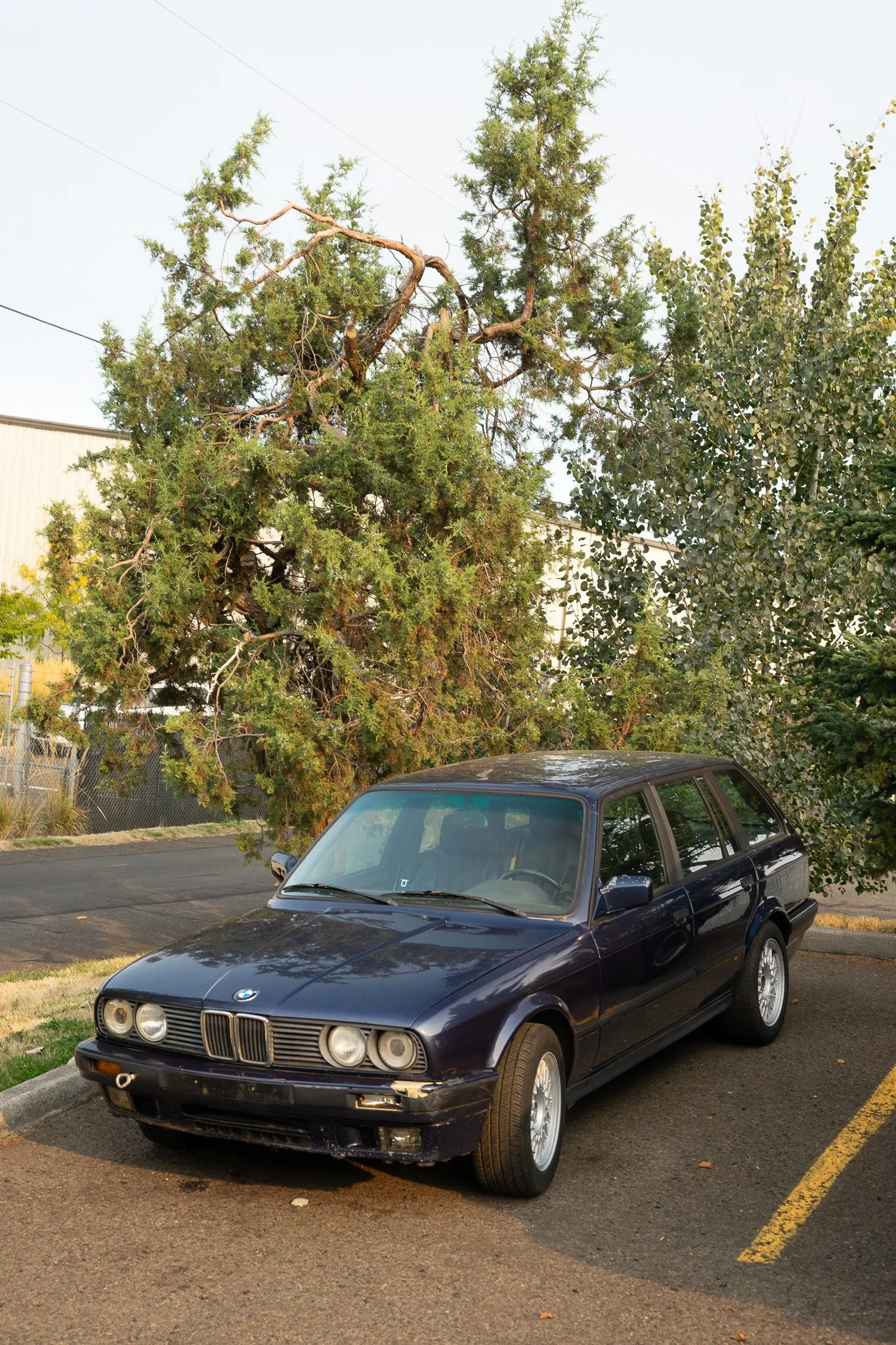 DSC06679.jpg