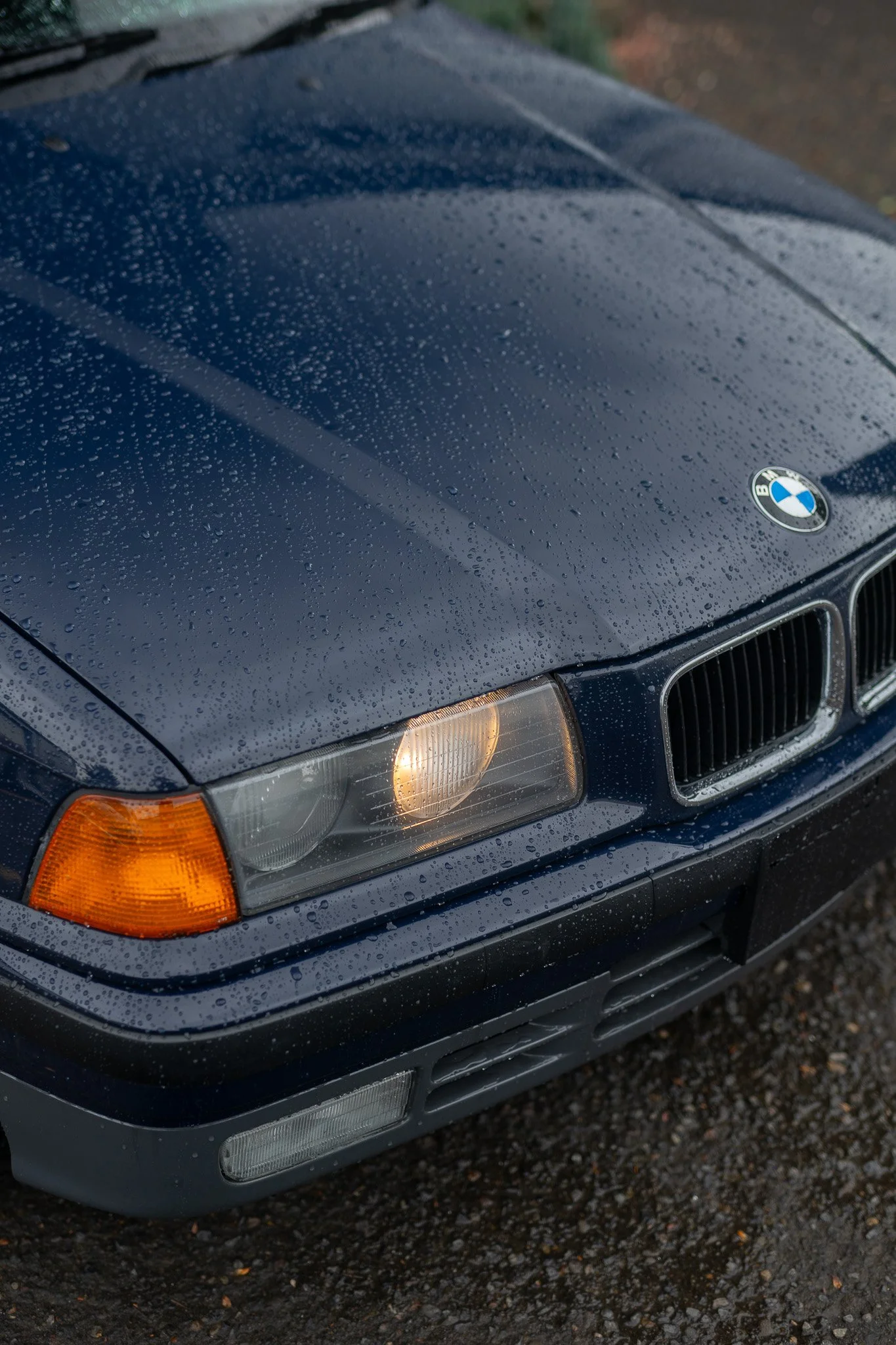 DSC06774.jpg