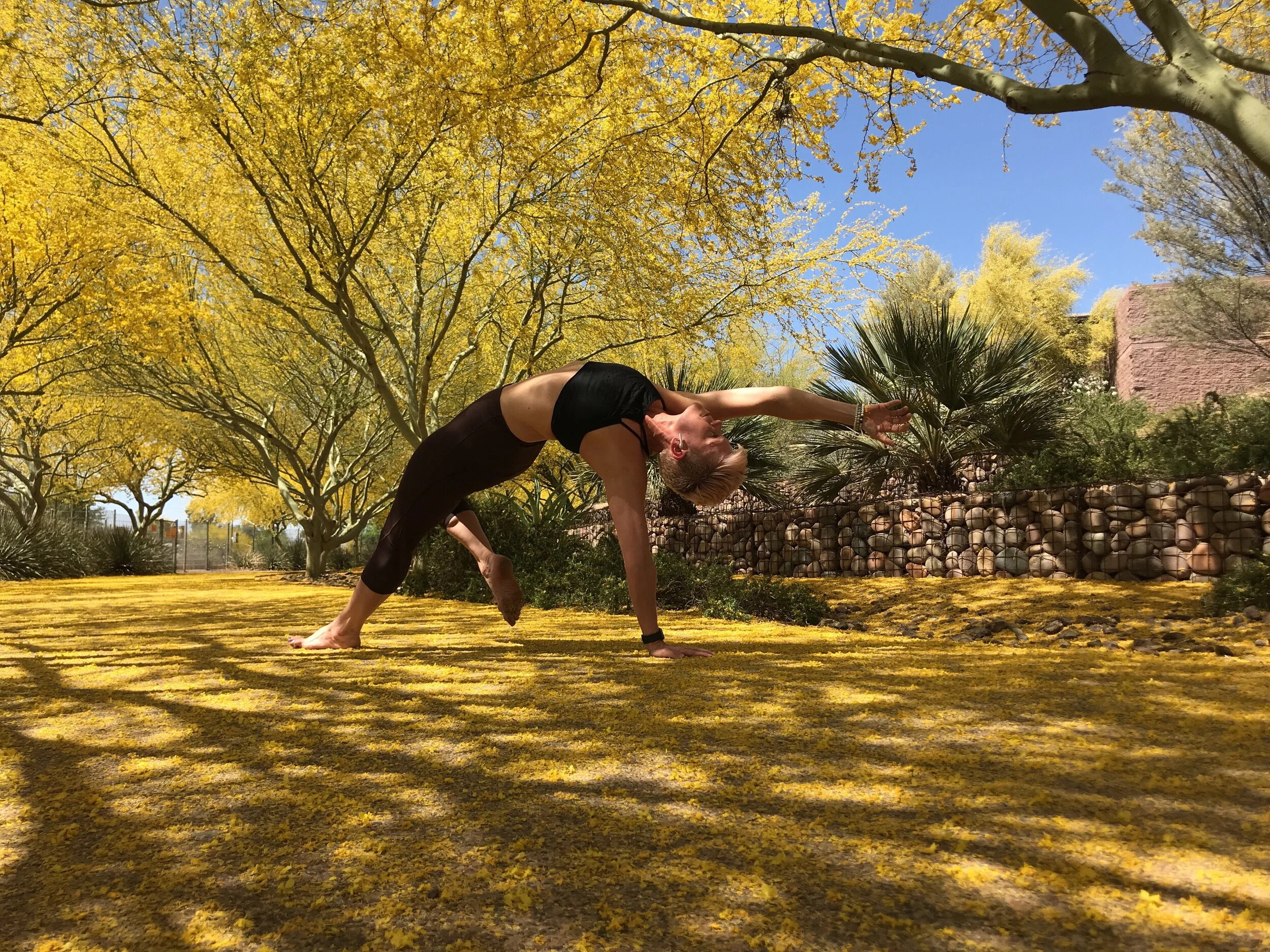 Core &amp; Spine Dynamics for Resilience 