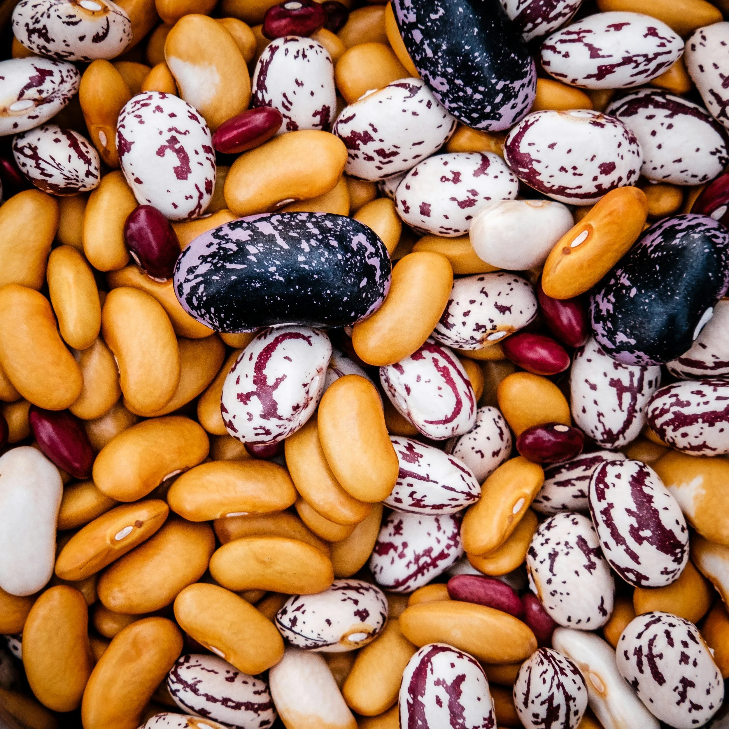 Sundried Tomato Butter Beans