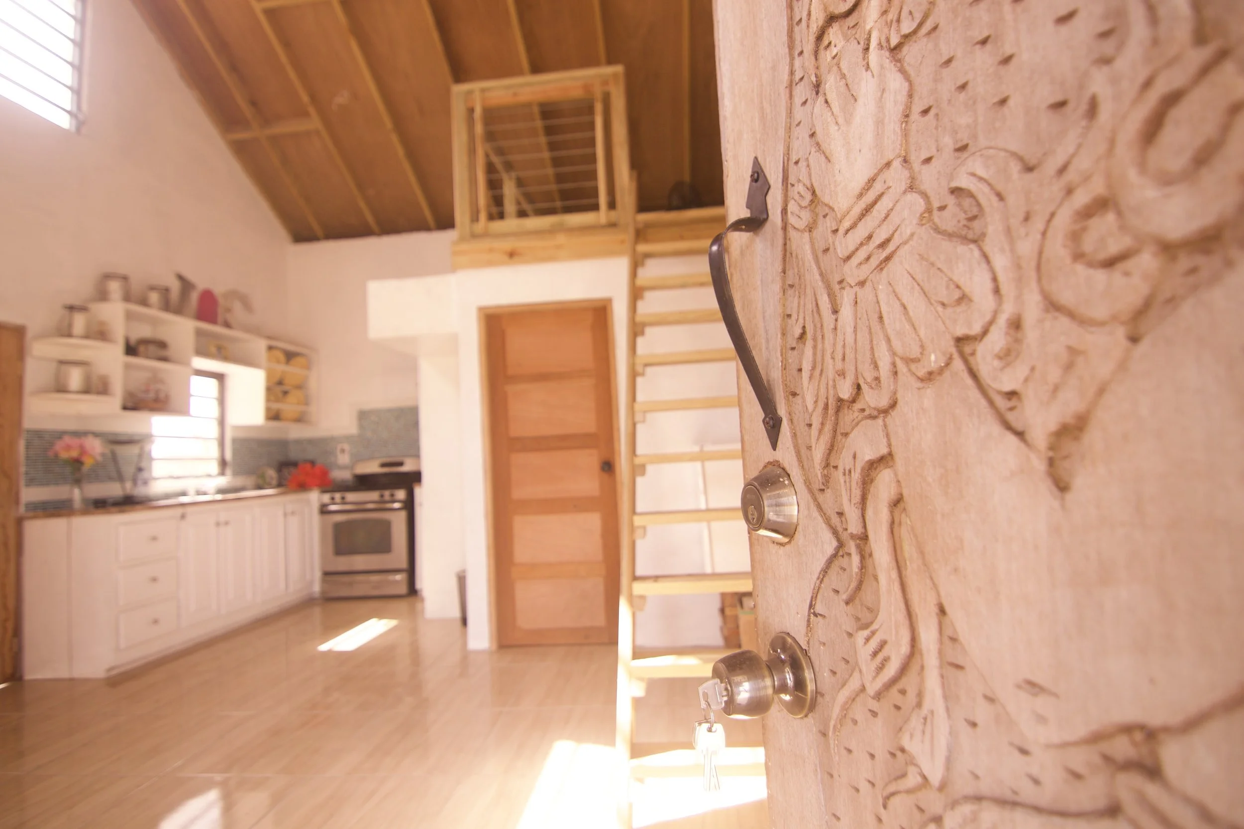 Modality jungle lodge2.jpg