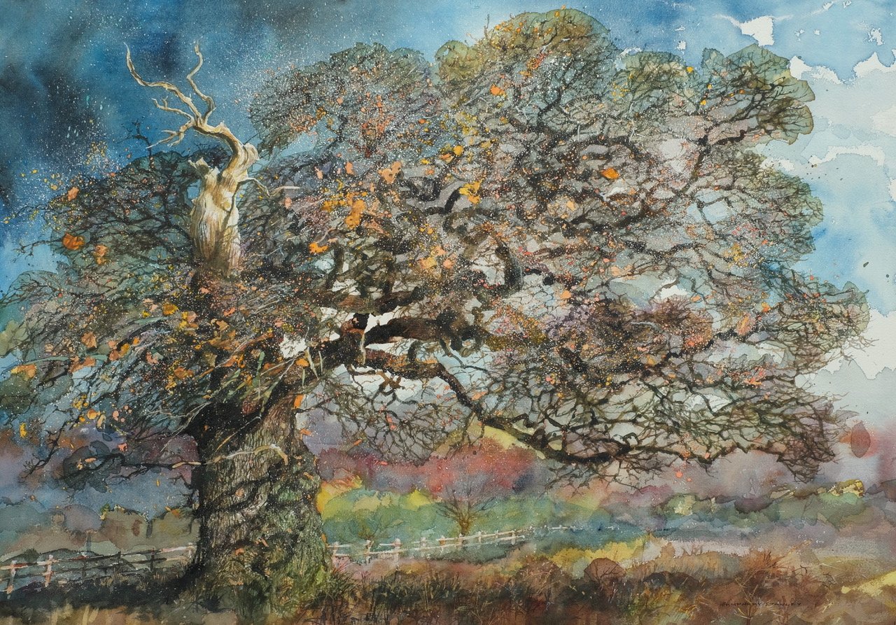 Monmouthshire Oak 2, £750, Watercolour