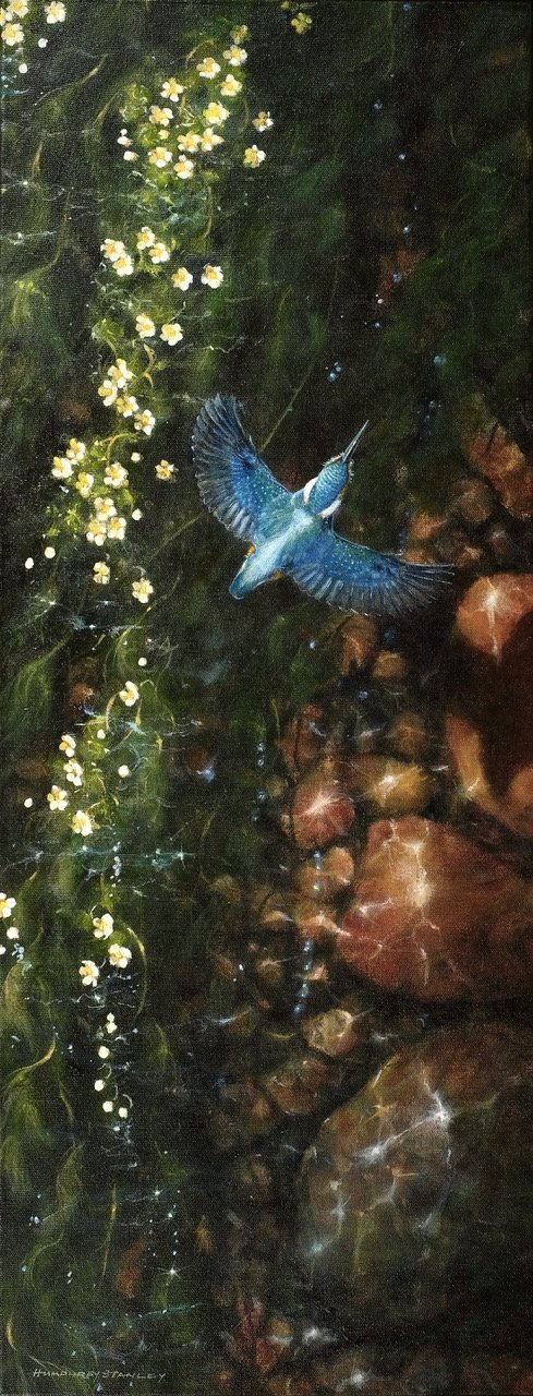 ‘Kingfisher over Watercrowfoot’, £825, Acrylic