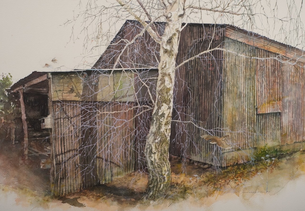 ‘Sparrow hawk and Five Sparrows’, £750, Watercolour