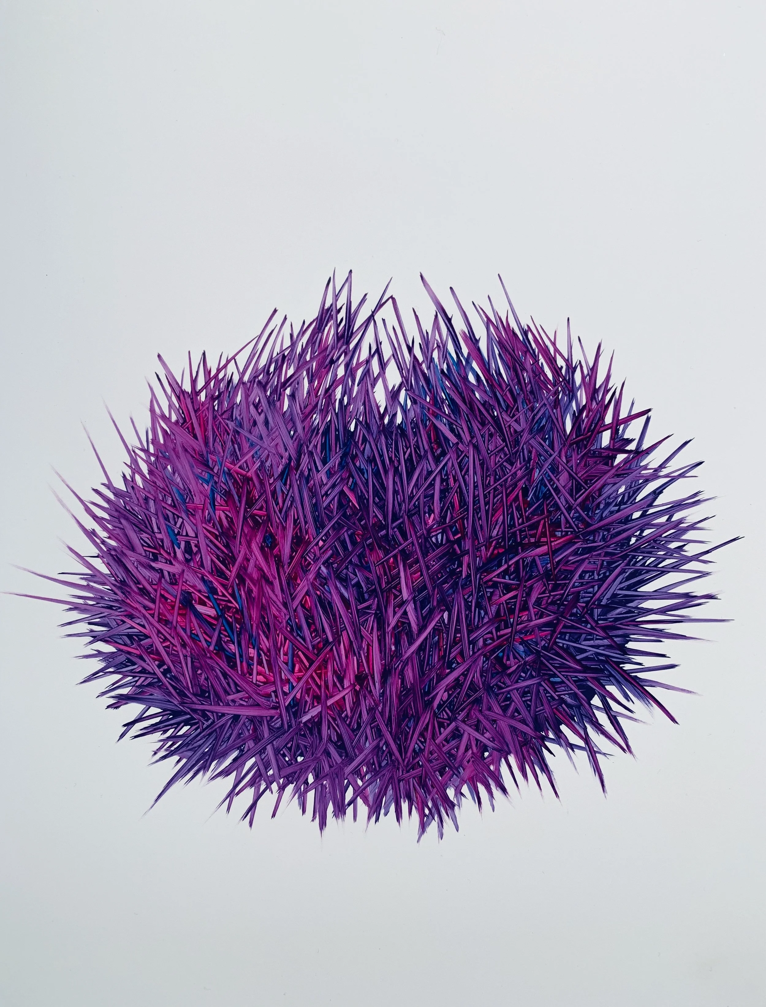 "Tideline Treasures" Monica Loncola Solo Show