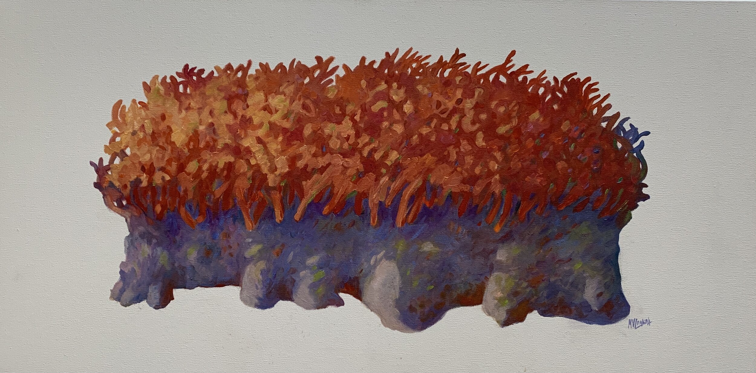 Ruby Rock 15" x 30"