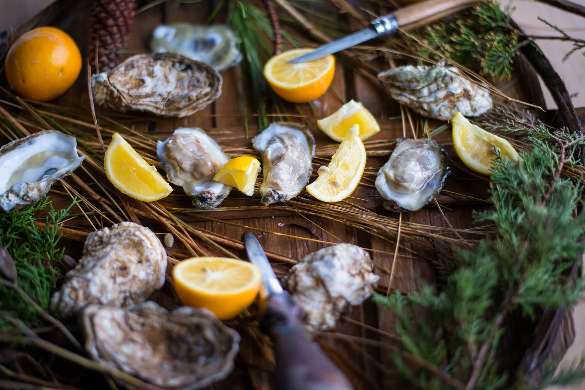 oyster.jpg
