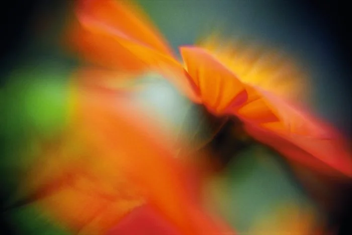 Contemporary Photography - Behavioral Health Interior Design