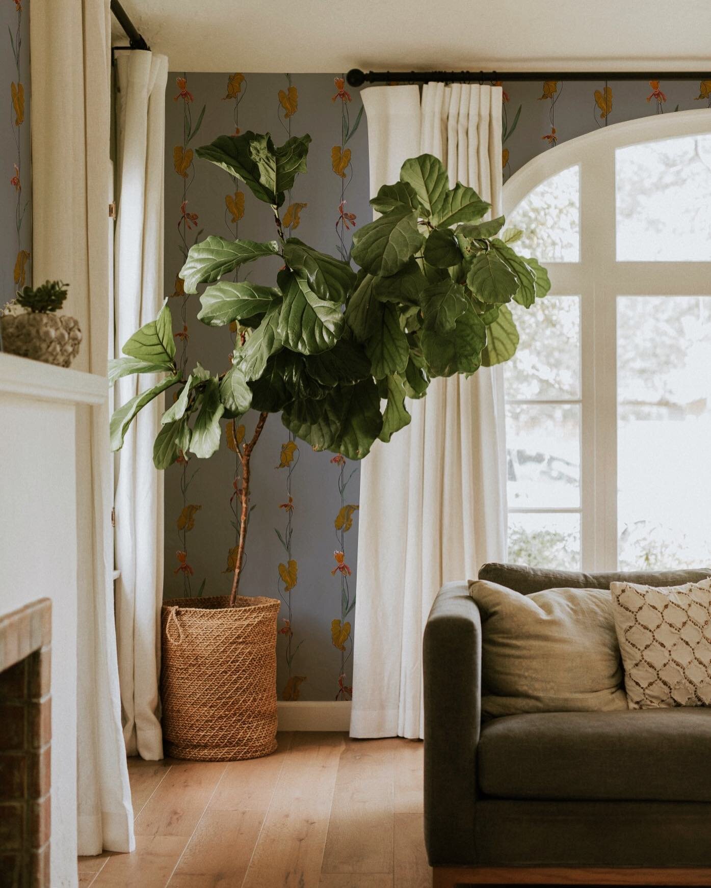 🤍this serene living room with the Ella wallpaper in Grey.