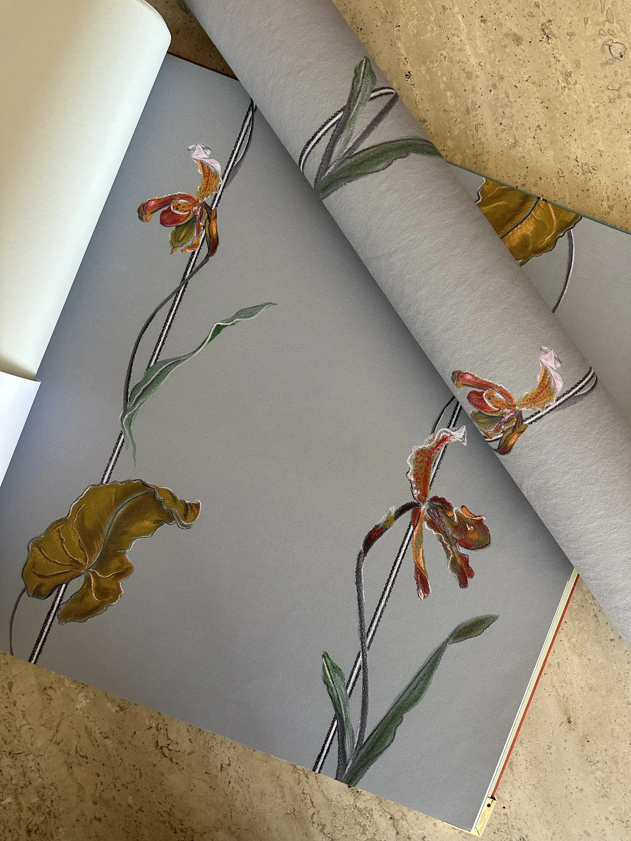 ellaG.jpg