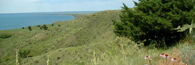 Nov 30, 2012 - Joint Press Release from the Rosebud Sioux Tribe, the Crow Creek Sioux Tribe, and the Shakopee Mdewakanton Sioux Tribe- Historic Reacquisition of Pe-Sla Sacred Site Was Signed Today