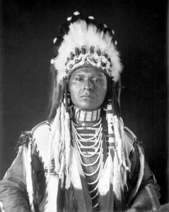 image1-239x300.jpg