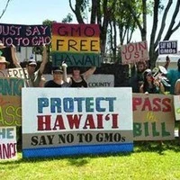 Jan 30, 2014 - Aabitoose with Winona LaDuke: G.M.O. &amp; Pesticides in Hawai’i