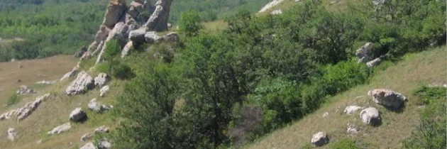 Feb 25, 2014 - Urgent: Save Killdeer Mountain and Protect Mni Wiconci in ND