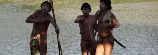 Aug 9, 2014 - Traditional Diets and Health by Damon Corrie