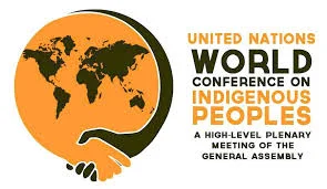 Sep 24, 2014 - Indigenous Rights are not Given from the Tongues of Oppressors (World Conf. on Indigenous Peoples)